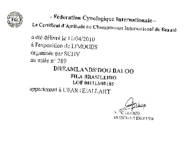 du domaine d'en bas - 2EME C.A.C.I.B. HOMOLOGUE par la FCI pour BALOO