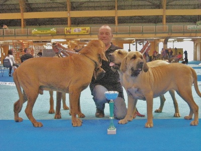 du domaine d'en bas - MEILLEUR LOT D'ELEVAGE A LA NATIONALE D'ELEVAGE 2010 à ORLEANS