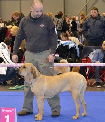 du domaine d'en bas - LA FILLE DE BALOO 2 FOIS CHAMPIONNE DE REPUBLIQUE TCHEQUE !!