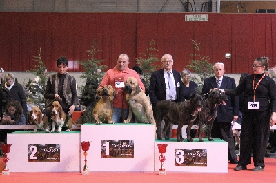 du domaine d'en bas - 1ERES SUR LE PODIUM A BOURGES: DANOUCHKA & EXCALIBUR